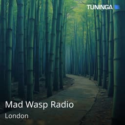 Mad Wasp Radio