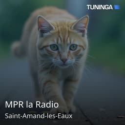 MPR la Radio