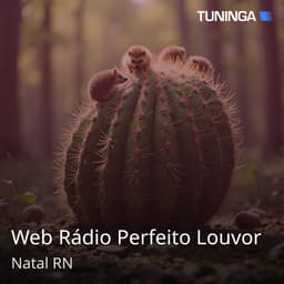 Web Rádio Perfeito Louvor