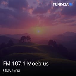 FM 107.1 Moebius
