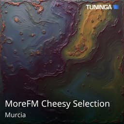 MoreFM Cheesy Selection
