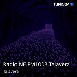 Radio NE FM1003 Talavera