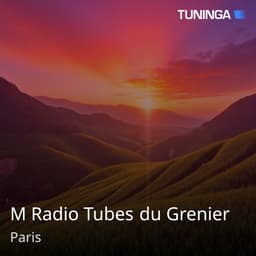 M Radio Tubes du Grenier