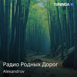 Радио Родных Дорог