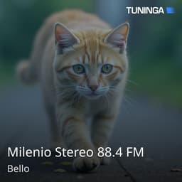 Milenio Stereo 88.4 FM