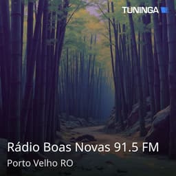 Rádio Boas Novas 91.5 FM