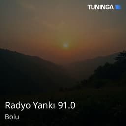 Radyo Yankı 91.0