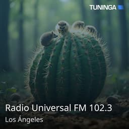 Radio Universal FM 102.3