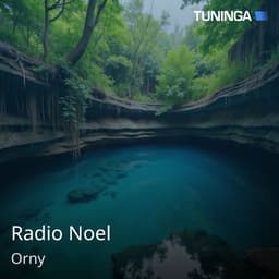 Radio Noel
