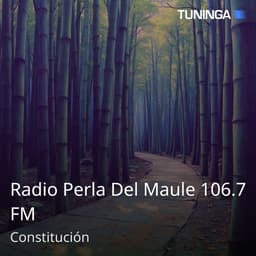 Radio Perla Del Maule 106.7 FM