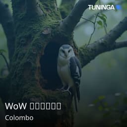 WoW රේඩියෝ