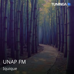 UNAP FM