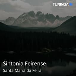 Sintonia Feirense