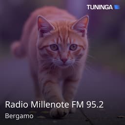 Radio Millenote FM 95.2