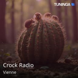 Crock Radio