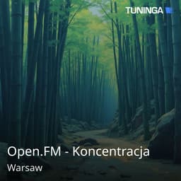 Open.FM - Koncentracja