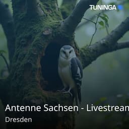 Antenne Sachsen - Livestream