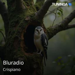 Bluradio
