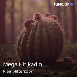 Mega Hit Radio