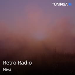 Retro Radio
