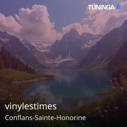 vinylestimes