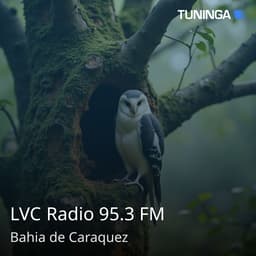 LVC Radio 95.3 FM