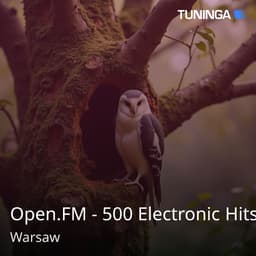 Open.FM - 500 Electronic Hits