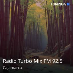 Radio Turbo Mix FM 92.5