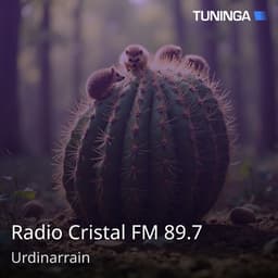 Radio Cristal FM 89.7