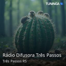 Rádio Difusora Três Passos