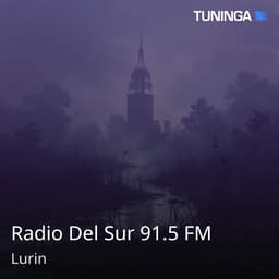Radio Del Sur 91.5 FM
