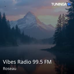 Vibes Radio 99.5 FM