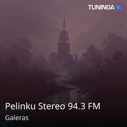 Pelinku Stereo 94.3 FM