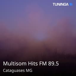 Multisom Hits FM 89.5