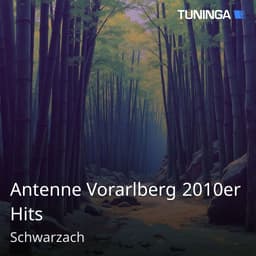 Antenne Vorarlberg 2010er Hits