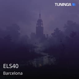 ELS40