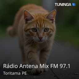 Rádio Antena Mix FM 97.1