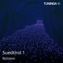 Suedtirol 1