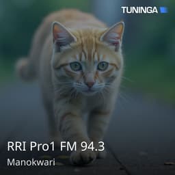 RRI Pro1 FM 94.3