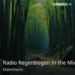Radio Regenbogen In the Mix