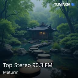 Top Stereo 90.3 FM