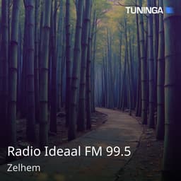 Radio Ideaal FM 99.5
