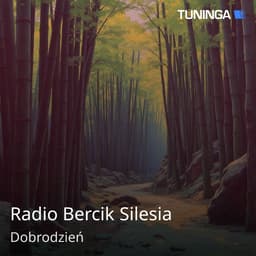 Radio Bercik Silesia