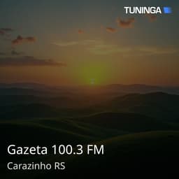 Gazeta 100.3 FM