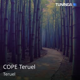 COPE Teruel