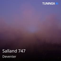 Salland 747