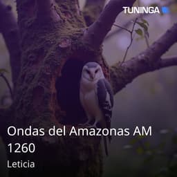 Ondas del Amazonas AM 1260