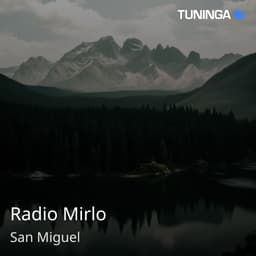Radio Mirlo