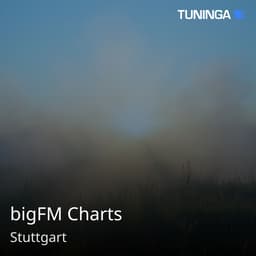 bigFM Charts