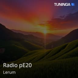 Radio pE20